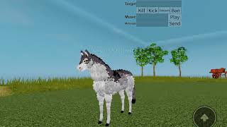 All of the gamepasses in Horse World Updated [upl. by Atinra]