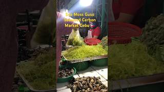 Sea Moss philippinefood seaweeds guso carbonmarket cebu philippines whattoeat whattobuycebu [upl. by Meid209]