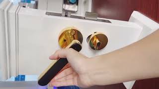 Biometric Fingerprint Smart Door Lock [upl. by Kale453]