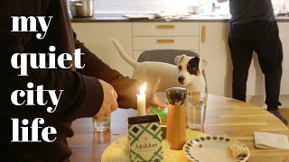 Oslo Norway Slow city life with a dog  Silent vlog  Thoughts on work  life balance [upl. by Hartmunn]