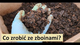 Co robię ze zboinami [upl. by Leiru]