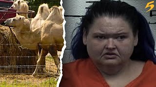 Amy Slaton Halterman of TLC’s ’1000lb Sisters’ arrested at Tennessee Safari Park [upl. by Noiroc842]