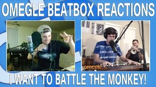 Omegle Beatbox Reactions  I Want To Battle The Monkey [upl. by Hesper]