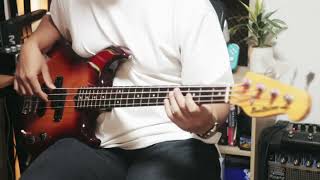 Steely Dan  Peg Bass Cover 1982 Yamaha Broad Bass VII [upl. by Philemol446]