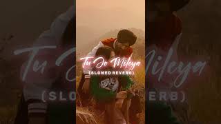 Tu Jo Mileya ❤️👀… S L O W E D R E V E R B  song lofi tujomileya love songs LOFIWITHSAM [upl. by Assille]