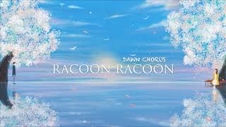 Racoon Racoon  Dawn Chorus Lyrics [upl. by Maram]