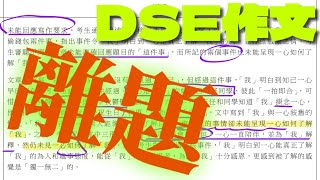 離題冇咁易！分析偏題與離題。 DSE 文憑試 港大中文碩士 奪星學生來自50多所中學 [upl. by Ycrep]