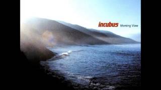 Incubus  Are You In [upl. by Biagio90]