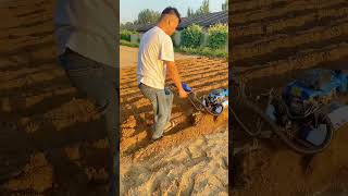 Rotary tillage weeding and furrowing [upl. by Cummings]