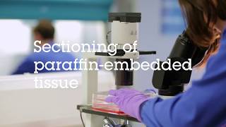 Sectioning of paraffin embedded tissue video protocol [upl. by Ledniahs]