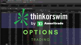 ThinkorSwim Tutorial Options Trading [upl. by Anelem]