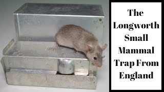 The Longworth Small Mammal Trap From England Mousetrap Monday [upl. by Dedric]