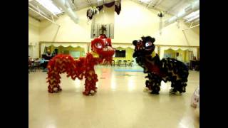 HDLionDance Shuffling [upl. by Elylrac]