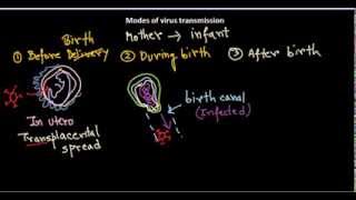 Modes of virus transmission [upl. by Theressa755]