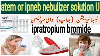 atem nebulizer solution  ipratropium bromide nebulizer how to use salbutamol respiratory soltion [upl. by Devi]