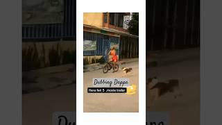 Funny Dog Voice dog funny animals comedy shortsfeed shorts dogvideos funnyanimal [upl. by Ecnerrat]