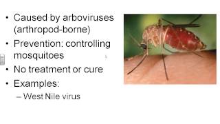 Viral Diseases  Dr Parkers Microbiology [upl. by Uhn]