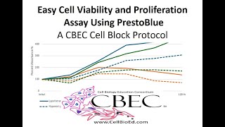 Cell Viability and Proliferation Assay with PrestoBlue [upl. by London]