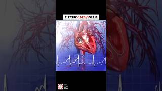 ElectroCardioGram ECG  cardiology [upl. by Nuri]