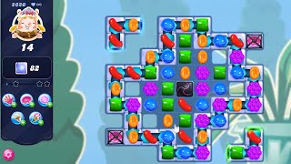 Candy Crush Saga LEVEL 2620 NO BOOSTERS new version🔄✅ [upl. by Miguel]