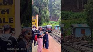 NILGIRI HERITAGE TRAIN lovedale travel shorts family sunflower blooming [upl. by Peadar]