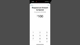 How to set up Apple Pay Later on iPhone [upl. by Faunia]