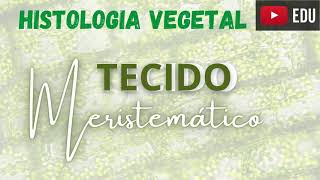 HISTOLOGIA VEGETAL  Tecidos Meristemáticos resumo [upl. by May198]