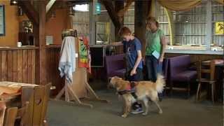 Hundezentrum CATU Ausbildung zum Assistenzhund und Diabetikerwarnhund [upl. by Stoughton]