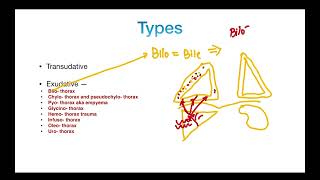 Pleural Effusion  Types  TRANSUDATE versus EXUDATE  Clinical Features  PART 2 [upl. by Iana383]