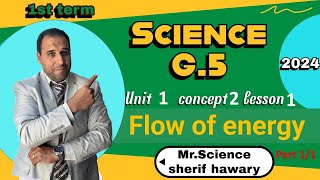 Flow of energy Grade 5  Unit 1 Concept 2 Lesson 1  Part 11  Science [upl. by Quillan357]