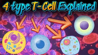 TCells In Hindi  T Cells kitne type ke hote hai  4 types TCells  TCells kese kaam karti hai [upl. by Yendis]