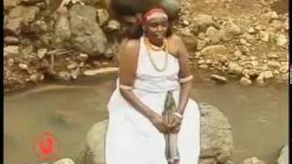 Oromo song by Hallo Dawwee [upl. by Pacificas768]