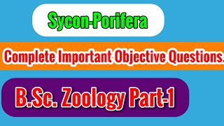 SyconPorifera BScZoology subsi Part1 Complete important objective Questions for University Exam [upl. by Stelle]