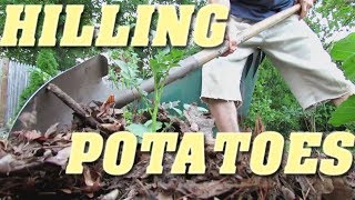 Hilling Potatoes  2 Methods [upl. by Halford]