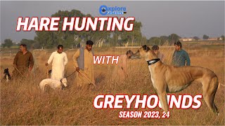 Hare Hunting with Greyhounds P 2  Greyhound vs Hare  Galgos LiebareExplorePotohar [upl. by Niddala169]