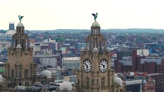 Liver Birds high above Liverpools Liver building [upl. by Ecirtra]