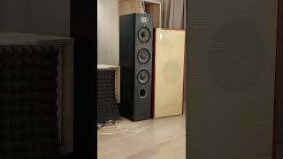 Focal vs Top USSR Loudspeaker [upl. by Wood661]