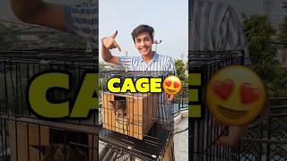 New Cage For Cats 💀😍  Mini Vlog shorts minivlog ashortaday vlog tranding cats [upl. by Hallagan]