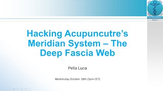 Hacking Acupunctures Meridian System The Deep Fascia Web  Pella Luca [upl. by Gertie]