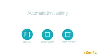 Maestria Quick Guide  Automatic Limit Setting [upl. by Etnecniv]