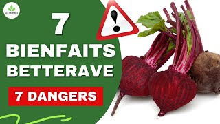 BETTERAVE  SES BIENFAITS ET DANGERS POUR LA SANTE Peau cheveux cancer troubles digestifs etc [upl. by Clarey178]