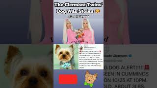 The BGC Clermont Twins Shannon amp Shannades Teacup Yorkie Chase Was Stolen  Reward For His Return [upl. by Anais]