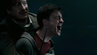 harrys unmuted scream in sirius death harry potter and the order of the phoenix [upl. by Adnih]