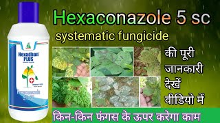 Hexaconazole 5 sc fungicide कामकीमत और डोज देखें वीडियो में पूरी जानकारी [upl. by Cleaves]