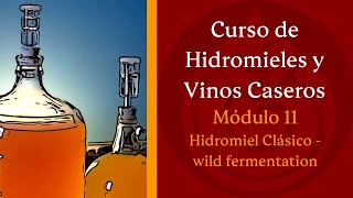 Cómo hacer HIDROMIEL wild fermentation  MÓDULO 11 [upl. by Kaela]