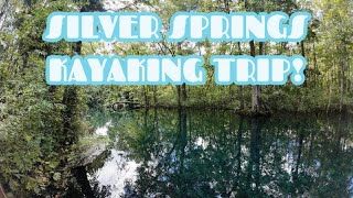 Silver Springs Kayaking 2024 [upl. by Alaster]