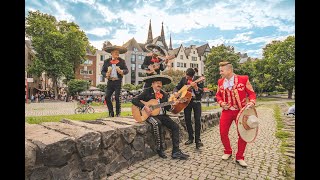 Mexikanische Musik Mariachi  Fiesta Mexicana Bruno Saal Köln 2017 [upl. by Bozuwa]