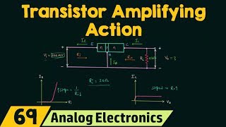 Transistor Amplifying Action [upl. by Salesin704]