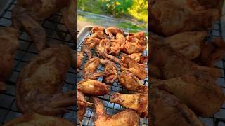 Pit Boss smoker chickenwings bbq pitboss pitbossgrills slowcook youtubeshorts [upl. by Neela]