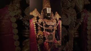 Venkatachala nilayam devotion venkatesha srinivasa [upl. by Kcir400]